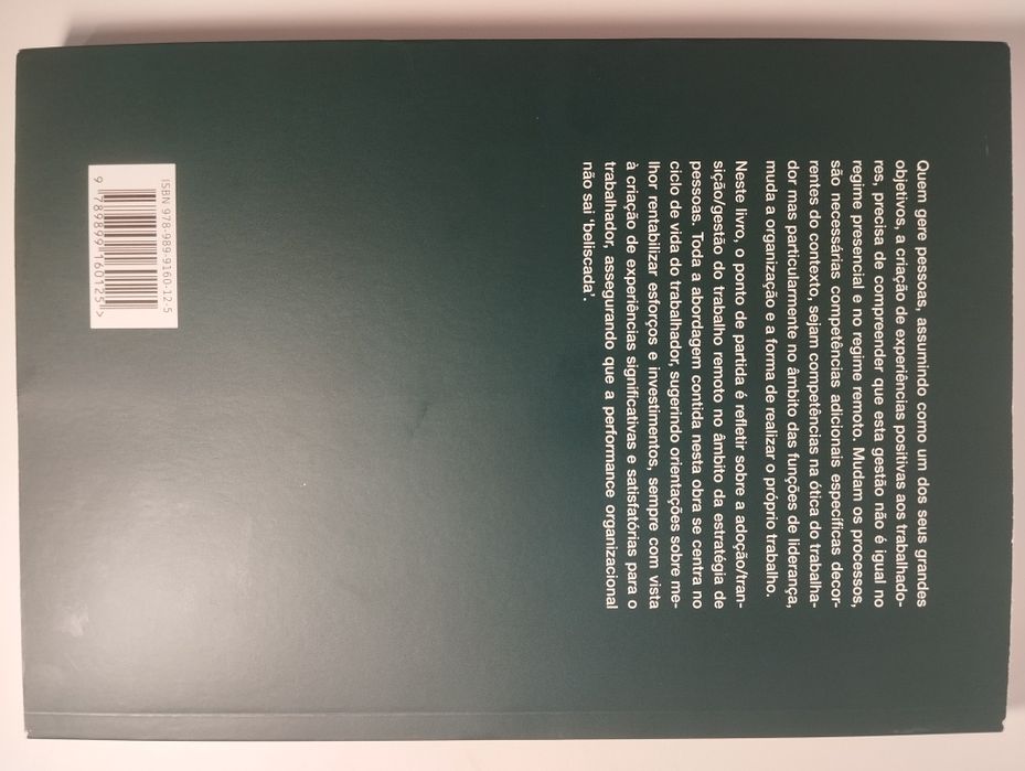 Trabalho Remoto e experiência do trabalhador