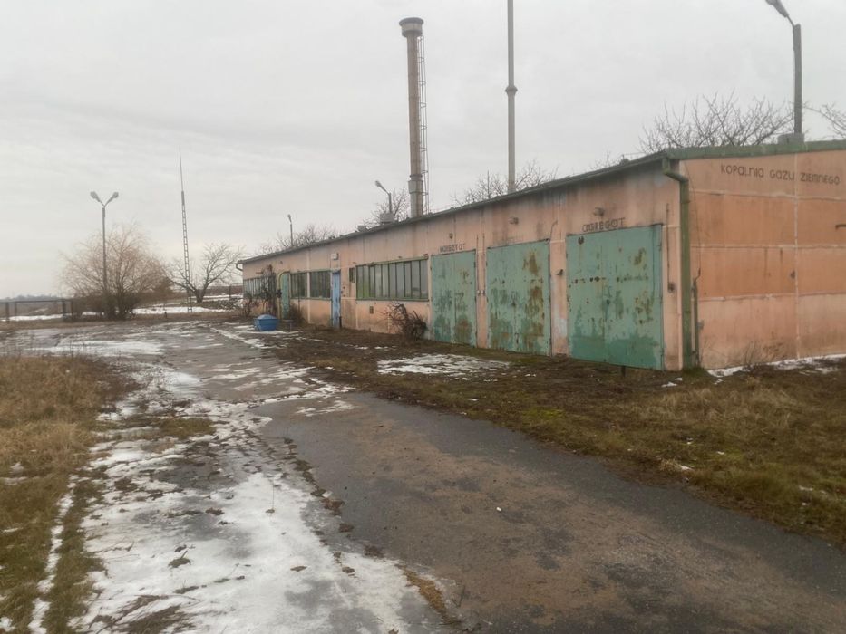 Plac warsztat mieszkanie Otusz Buk