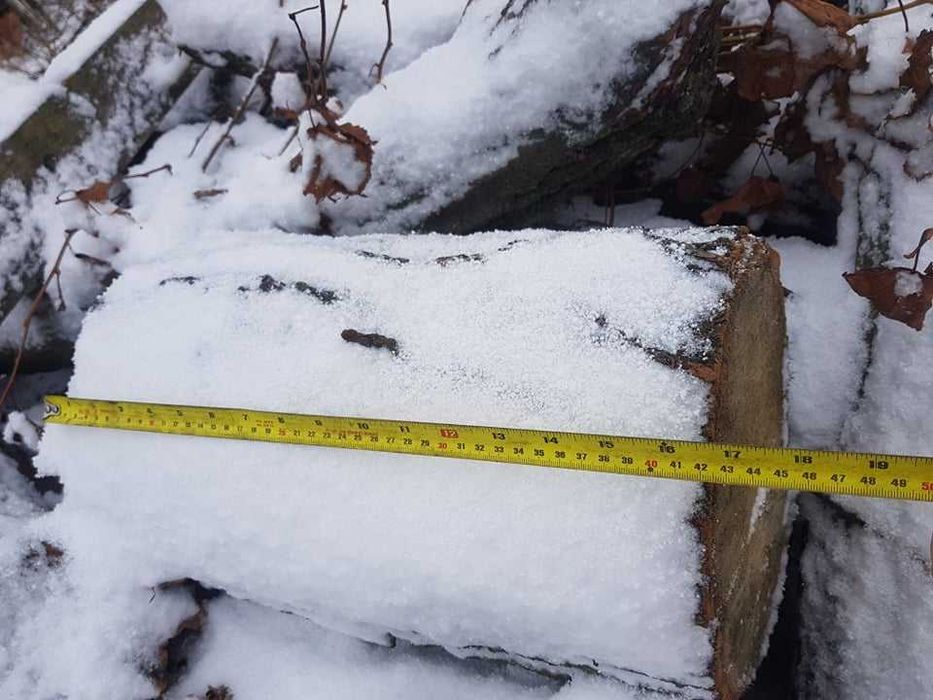 LIPA, drzewo lipowe, drewno na rzeźby, klocki, kłody