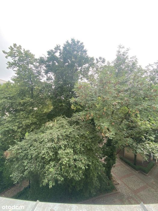 Zdjęcie 4