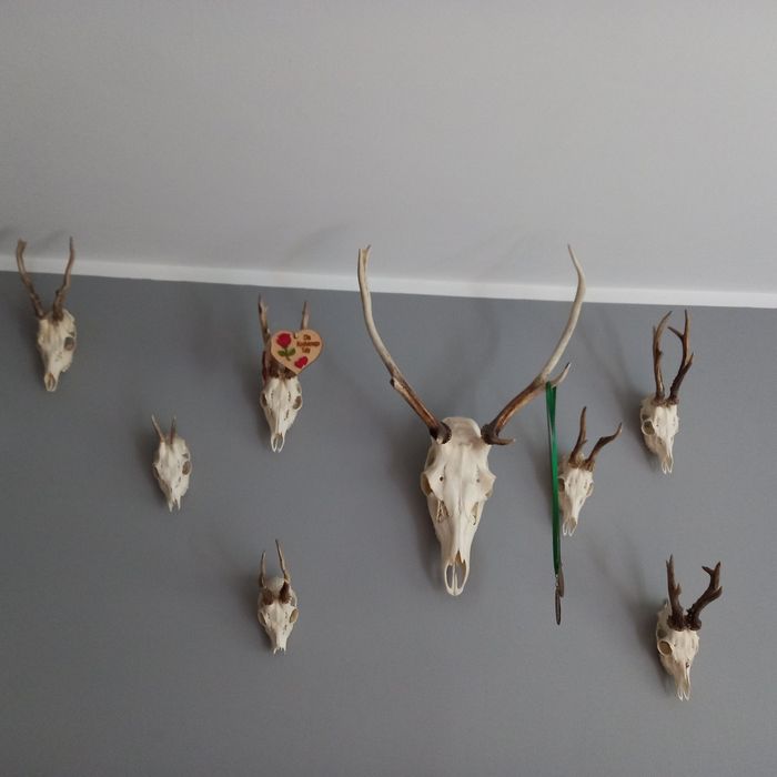 Myślistwo  zapraszam