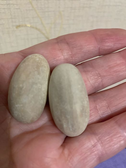 Джекфрут, сіянці