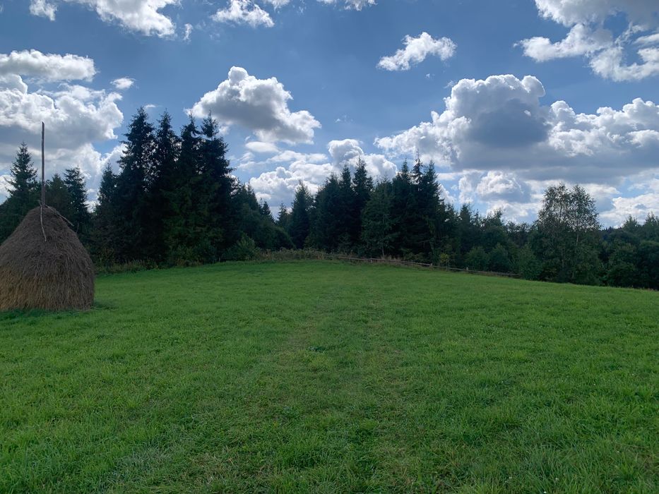 Продаж земельної ділянки, в Карпатах с. Плав,я