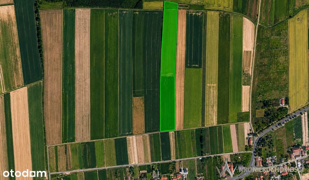 Działki rolne na sprzedaż – Golanka Dolna,
