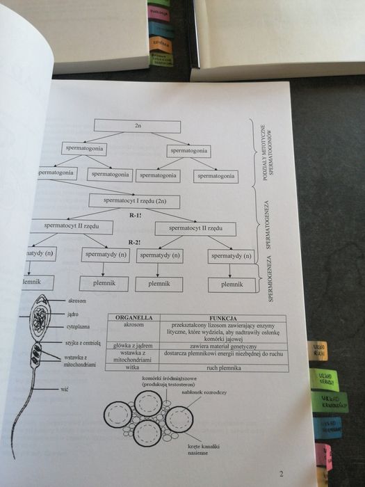 Idealne notatki do matury Biologia