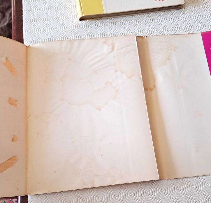 “Le Petit Monde de Pablo Picasso” – First Edition 1959 – Duncan – With Dust Jacket