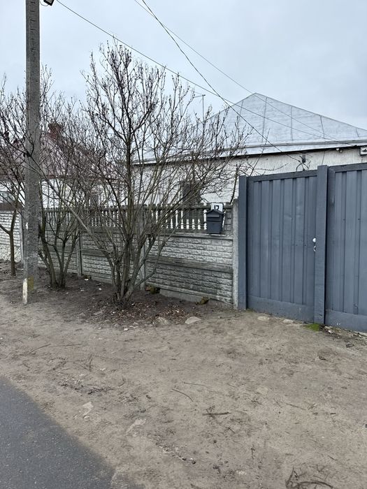 Продам будинок у центрі Васищева