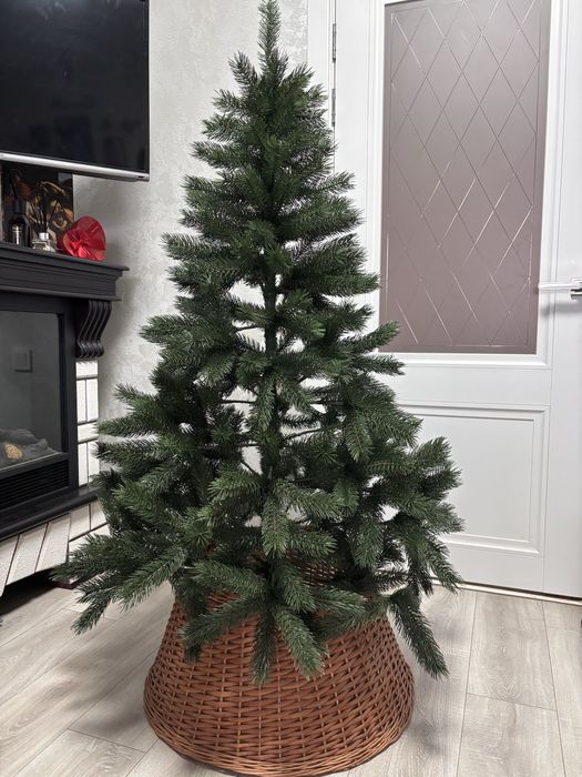 Ялинка лита буковельська