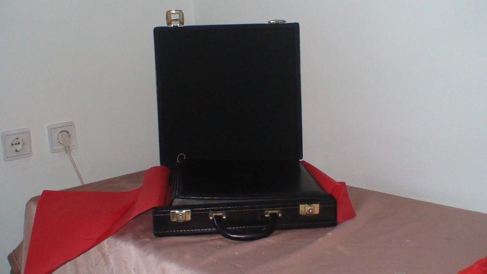 álbum de fotos  e malas