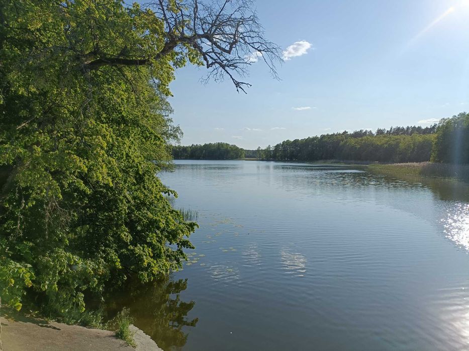 Mazury-DOMEK POD LASEM. Wędkowanie, kajaki, rowery.