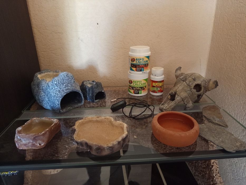 Terrarium dla gekon lamparciego