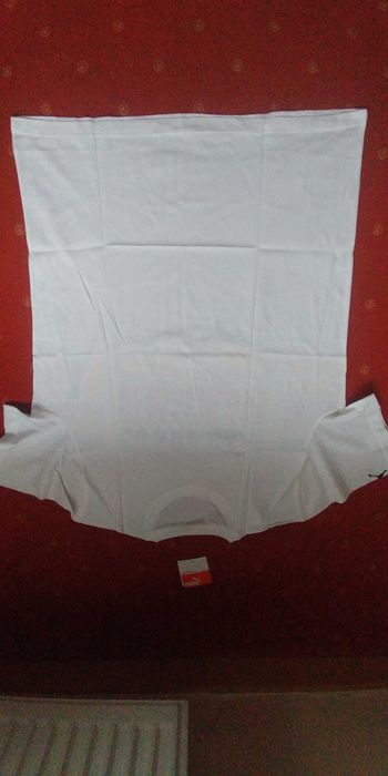Koszulka T-Shirt Puma reprezentacja Niemiec rozm. L