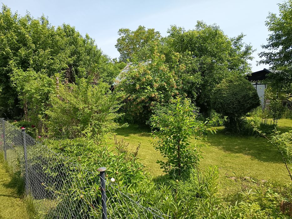 Działka ROD Słonecznik