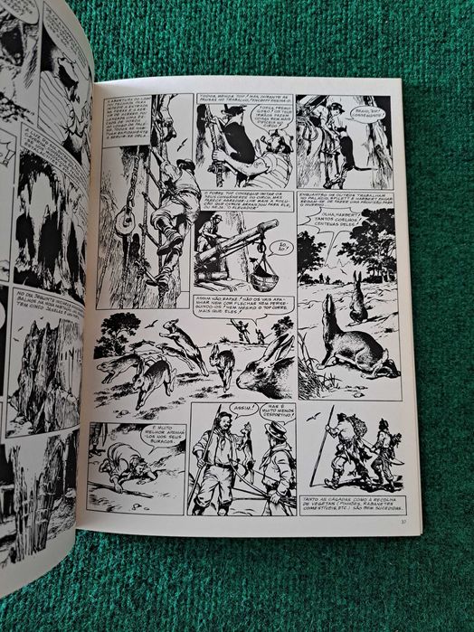 A Ilha Misteriosa - Júlio Verne (Desenhos de F. Caprioli)