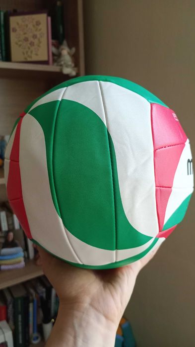 Волейбольний м'яч Molten, реальні фото