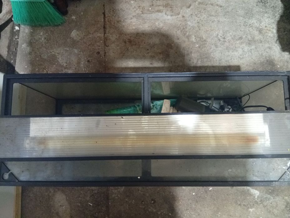 Aquário e respectivos