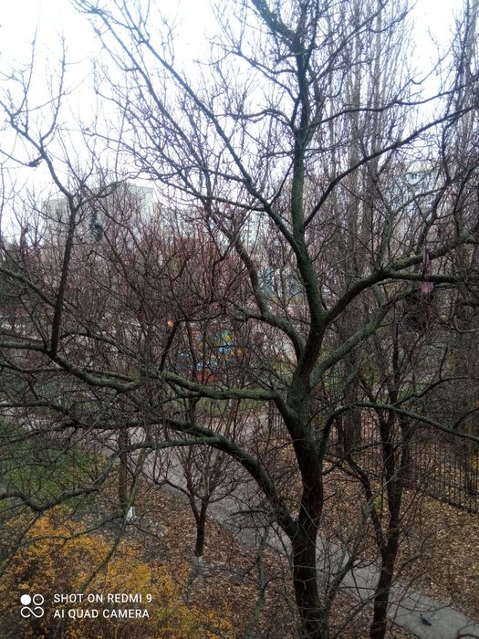 Продам 1кім.кв.переплановану в 2кім.кв на 3/9/Ц р-н Водоканалу