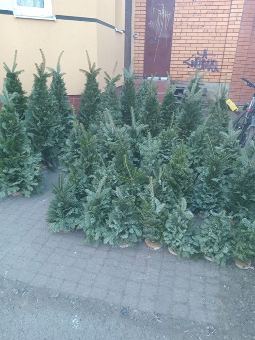 Ялинка карпатська плетена мотанка