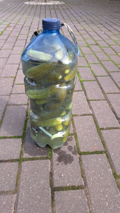 Kiszone ogórki 5l.