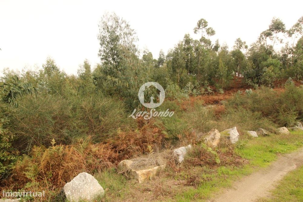 Terreno com 17.990m2 área S. Gens Fafe