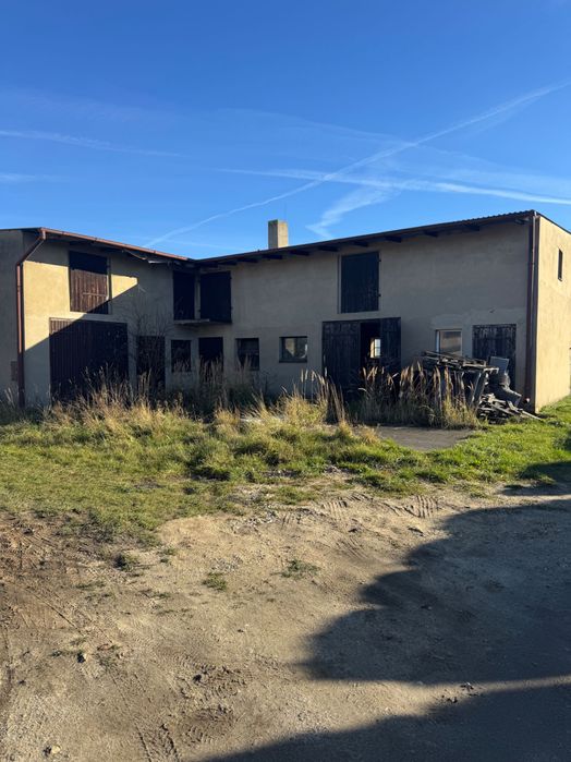 Dom na sprzedaż Krzycko Wielkie