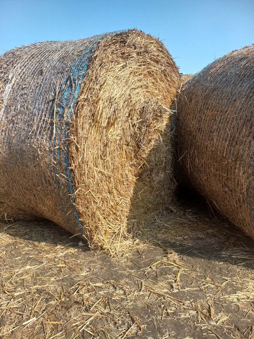 Słoma w w belach
