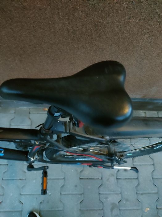 Rower horizon zero 29'