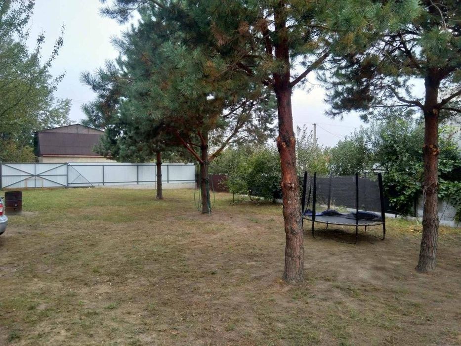 Продаж ділянки в 35 км від Києва в СТ "Стави" (с. Липовий Скиток)