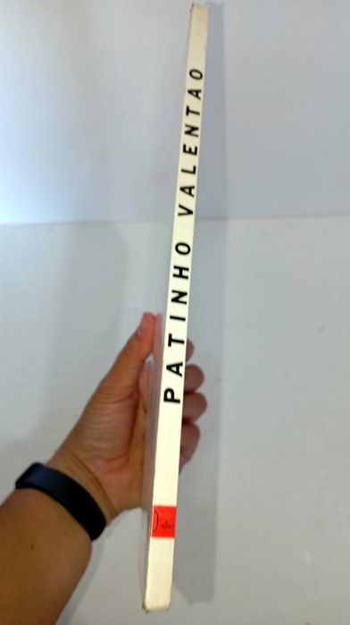 Brave Little Duck - Dona Dunga's Story Collection64730014005379121