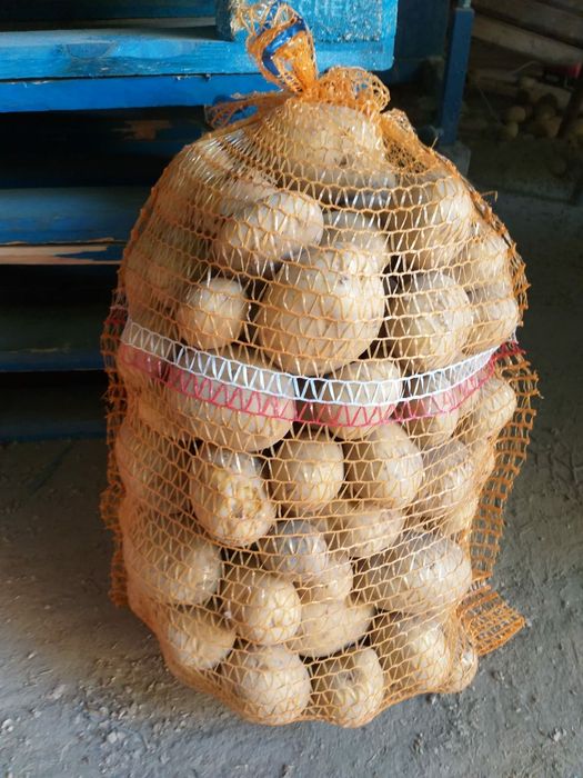 Worki Raszlowe producent Polskie