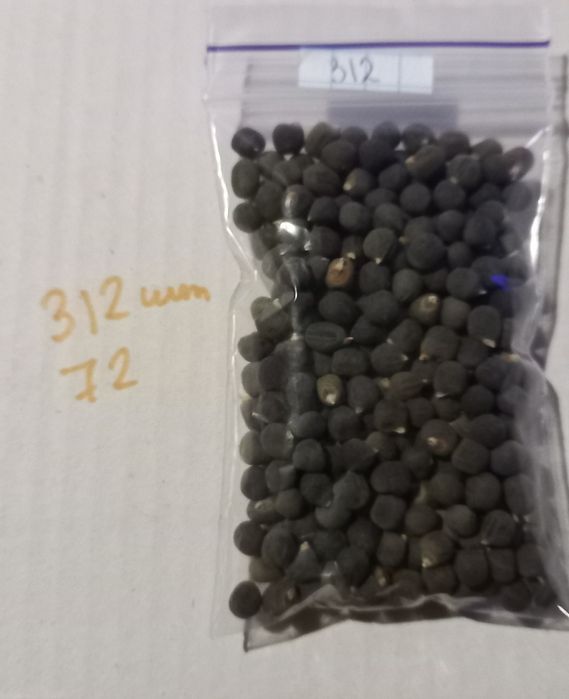 Насіння бамії              .