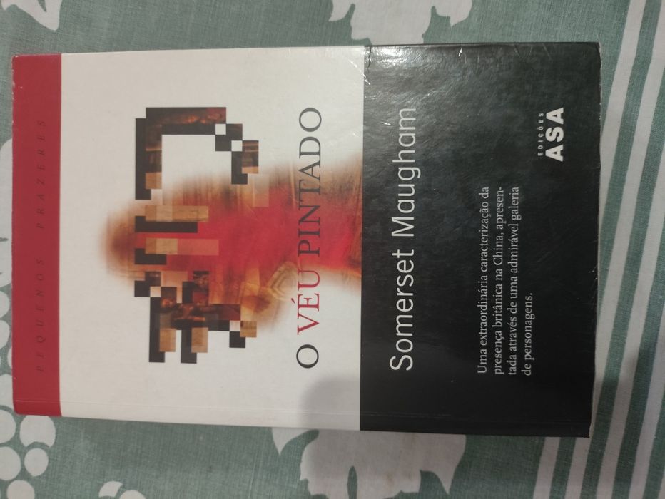 Livro "O véu pintado"