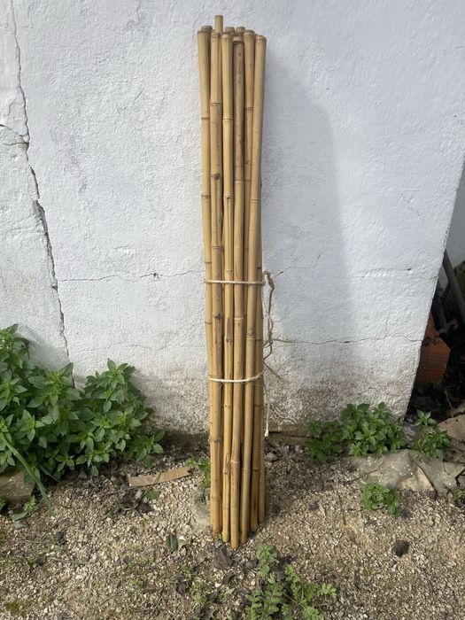 Bambu 100cm x 2 cm