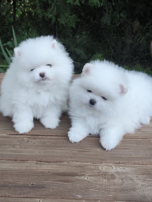 Гарненькі Дівчатка,та Хлопчики!