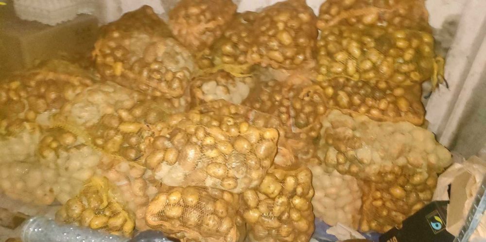 Ziemniaki soraja 15 kg