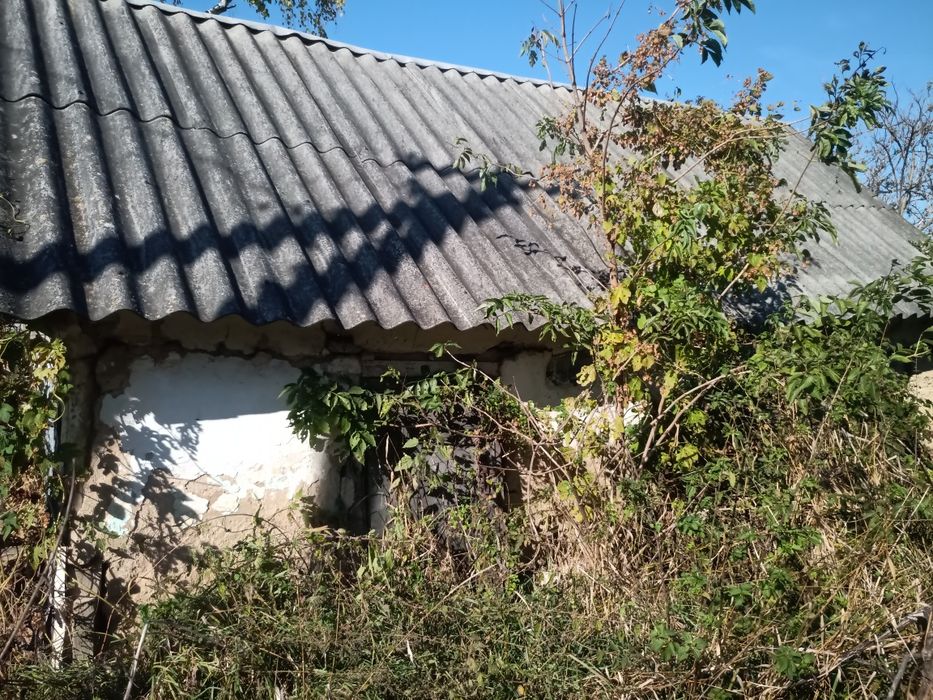 Продам земельну ділянку в с. Жуки