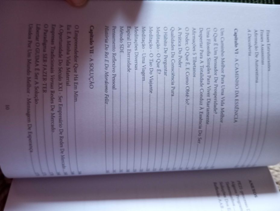 A engenheira humana é a solução, de António Guimarães