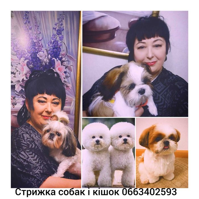 #стрижкасобаккотів#Першотравеньск