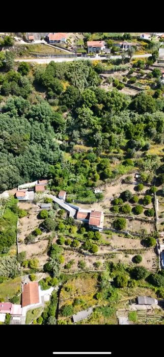 Quinta única a venda em Baião!