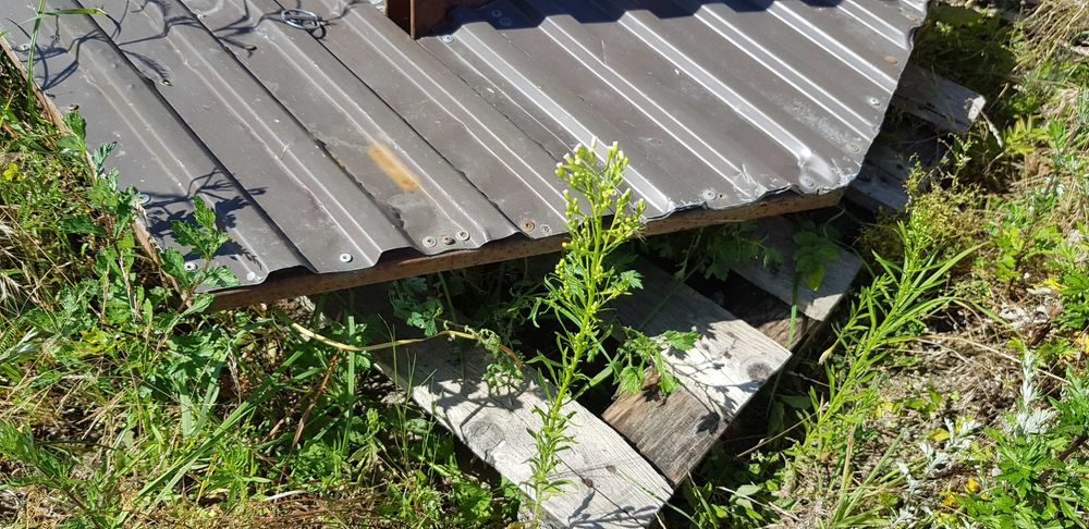 kosiarka, mulczer ,łęciarka do liści