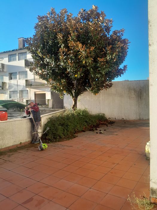 Faço cargas de emtulho madeiras pladur papelão moveis