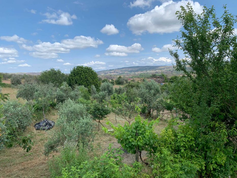 Terreno Particular com Viabilidade de construção em Mangualde