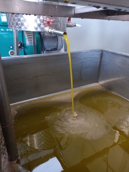 Azeite Novo Virgem Extra 0,2 acidez - Douro Vinhateiro