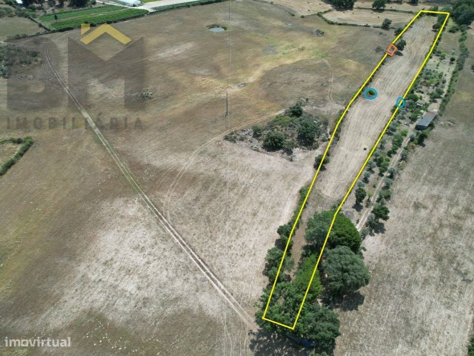 Quinta rural com 9.000m2 em Alcains - Castelo Branco