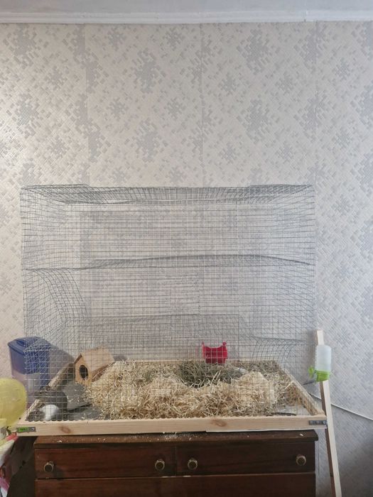 Клітка для б ілок дегу, шиншиил ц інших гризунів