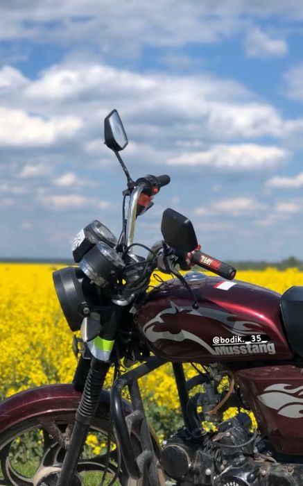 Альфа 125 на доках