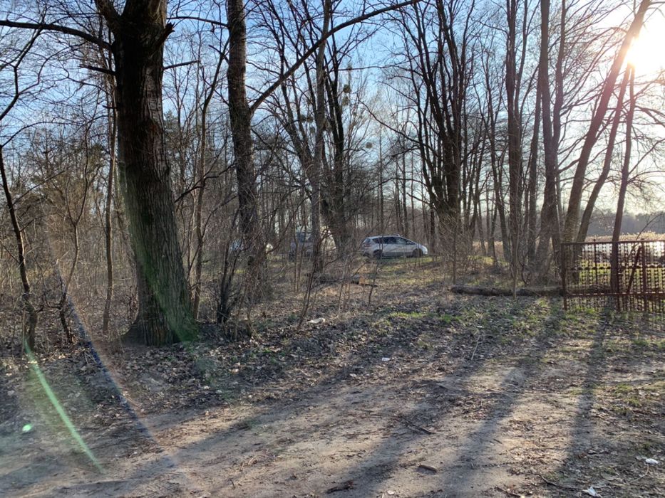 Wielka działka nad PIASECZNEM (Rozpłucie Pierwsze). - Widok 2