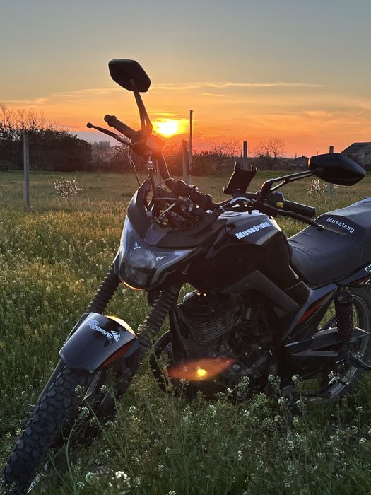 Продажа  мотоцикла  Мусстанг Фортуна. 200 срочно