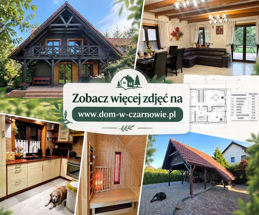 Zdjęcie 8