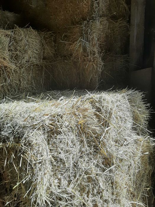 Fardos de centeio com aveia